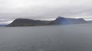 Mein Schiff 3 Whale Watching  ÍsafjarðardjúpFjord  IslandKreuzfahrt Juli ´23 [upl. by Rowell]