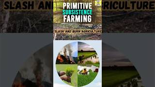 Meaning of Primitive Subsistence Farming and Shifting Cultivation  Types of farming shorts upsc [upl. by Ylenats]