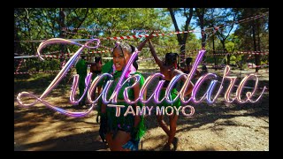 Tamy Moyo Zvakadaro Official Video [upl. by Miharba]