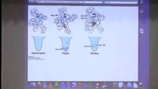 Kevin Aherns BiteSized Biochemistry 13 Catalytic Strategies II [upl. by Allard]