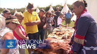 Festival in Nova Scotia Joins Together the Mikmaq and Acadians  APTN News [upl. by Maiah]