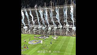 Mosaico do jogo de ontem🐓🤩🔥futebol arenamrv atleticomineiro mosaico galo edit shorts viral [upl. by Arikaahs]