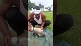 fish cutting fishing fish short looseweightinoneweek shorts short shortsvideo shortvideo [upl. by Undry]