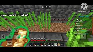 MAKING THE BEST SUGAR CANE FARM ON DONUT SMP [upl. by Brittni]