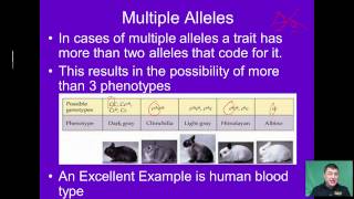 Alternate Patterns of Inheritance [upl. by Lawrence]