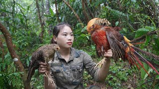 200 days of survival in the wild trapping wild boar turkey pheasant survival alone [upl. by Enaud580]