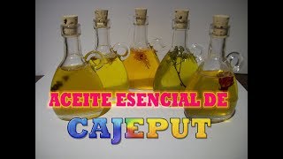 PROPIEDADES Y USOS DEL ACEITE ESENCIAL DE CAJEPUT [upl. by Enelrae443]