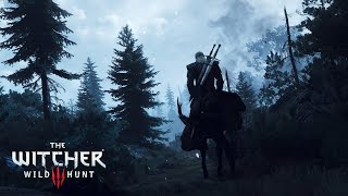 Skelliges Most Wanted Witcher 3 Cinematic Playthrough [upl. by Alessandro]