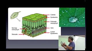 Lecture21일반생물2CBNU20242 [upl. by Aretina]