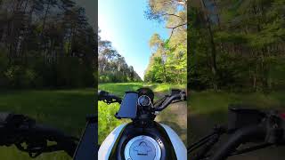 Yamaha XSR 125 offroad pure sound xsr125 [upl. by Adnuhsor236]