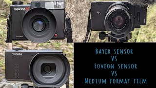 Bayer sensor VS Foveon sensor VS Medium format film [upl. by Verene867]