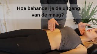 maagpijn verhelpen door osteopathie Wat doet een osteopaat bij maagklachten [upl. by Delinda]