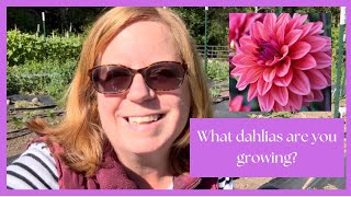 Exploring All the Dahlia Varieties I Grow and Why Theyre Special zone 8b gardening [upl. by Anavahs]