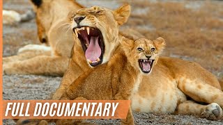 The Last Paradise on Earth  The Amazing Serengeti  Full Documentary [upl. by Toback]