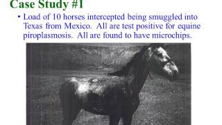 Dr Angela PelzelMcCluskey  Traceability of Equine Microchips [upl. by Balac35]