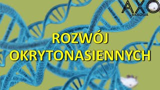 28 Wzrost i rozwój roślin okrytonasiennych [upl. by Elohc]