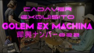 Cadaver Exquisito Sessions  即興ナンバー022 [upl. by Adnovay]