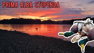 Alba STUPENDA sul fiume PO  caccia alle anatre [upl. by Halilak]