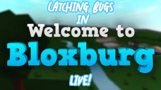 Bloxburg Live Come catch bugs with me [upl. by Yrojram]