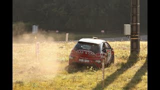 Rallye Vosgien 2017 [upl. by Allemaj783]