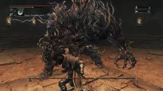 Bloodborne  Loran Abhorrent Beast No Damage Kirkhammer [upl. by Rieth119]