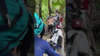 Panama 🇵🇦 jungle crossing  panama jungle food donkey mexicoborder punamajangal [upl. by Kutzenco]