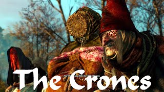 Summoning the Crones of Crookback Bog  The Witcher 3 Wild Hunt [upl. by Porche505]