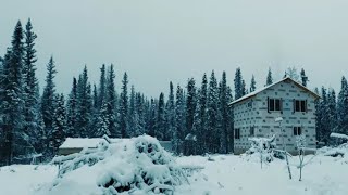 Winter Day in the Life on an Alaska Homestead [upl. by Penelopa]