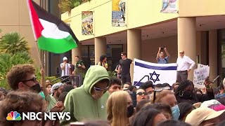 IsraelHamas war fueling tensions on US college campuses [upl. by Anawyt655]