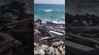 Wild Beach in Roatan Honduras cruiselife [upl. by Noirda]