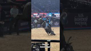 Daylon Swearingen at the PBR Teams Finals in Las Vegas in 2022 cowboy rodeo pbr [upl. by Bab128]