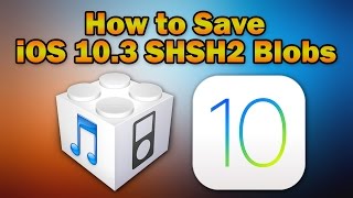 How to Save iOS 1032  1031  103 SHSH2 Blobs for Future iOS Downgrades [upl. by Metcalf]