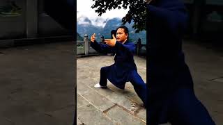 From Shaolin to Wudang  Master Li Jun Martial Arts Journey [upl. by Susana]