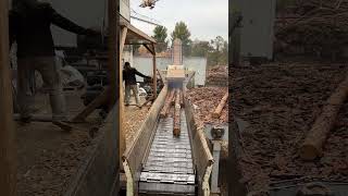 Day in the Sawmill woodworking [upl. by Kannry315]