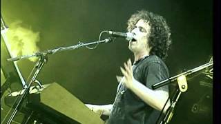 Andrés Calamaro  Sin documentos Made in Argentina Directo 2005 [upl. by Ferri]