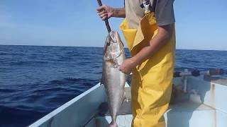 Pêche à la sériole à Tigzirt sur mer Algérie avec mon ami Akli [upl. by Marnia]