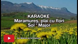 Maramureș plai cu flori Sol  Maj  KARAOKE [upl. by Osanna]