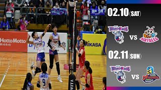 【PFUブルーキャッツ】20232024 VLEAGU DIVISION1 WOMEN 第21戦・第22戦～金沢大会～ [upl. by Assitruc]