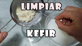 🍶CÓMO y CUÁNDO Limpiar Nódulos de KEFIR [upl. by Reinhold451]