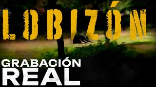 GRABARON AL LOBIZÓN EN SANTA FE  Episodio 3  Onda Paranormal [upl. by Enidlareg350]