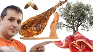 These TREES Make the Worlds Best Ham｜Jamón Ibérico de Bellota and How its Raised [upl. by Aneerhs]