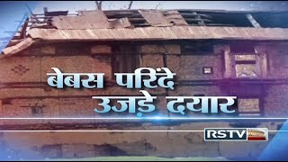 Special Report  Story of Kashmiri Pundits  बेबस परिंदे उजड़े दयार [upl. by Gessner399]