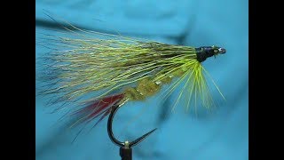 Beginner Fly Tying a Wardens Worry with Jim Misiurra [upl. by Bigod]