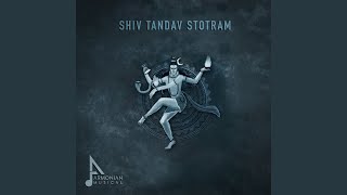 Shiv Tandav Stotram [upl. by Ailerua155]