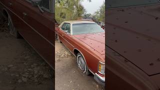 Survivor Barn Find 1973 Ford LTD barnfind ford survivor classiccars [upl. by Suryt]