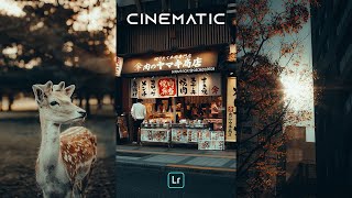 POV CINEMATIC Presets  Lightroom Mobile Preset Free DNG  POV Street Photography Presets [upl. by Itsur147]