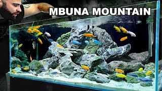 Mbuna Mountain EPIC Cichlid 4ft Aquascape Tutorial [upl. by Peltier16]