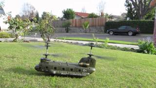 Chinook RC Helicopters Maiden Takeoff  and Crash [upl. by Ahsirt]