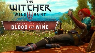 🇫🇷 Triss Scène Finale BaW 1440p The Witcher 3 Blood and Wine Extension [upl. by Ettenav398]