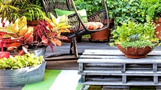 38 Creative Container Garden Ideas [upl. by Tansy]